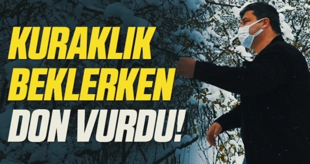Çiftçi Kuraklık Beklerken Don Vurdu!