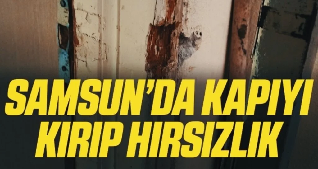 Evden televizyon hırsızlığı
