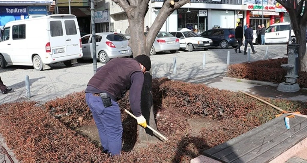 Havza'da bahar temizliği