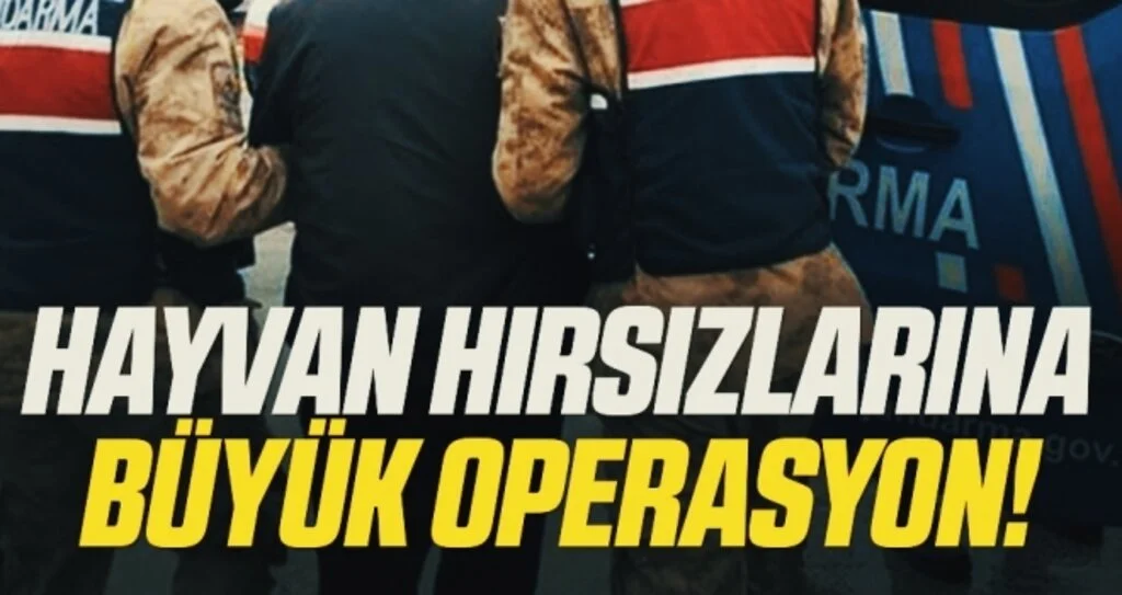 Hayvan hırsızlarına büyük operasyon