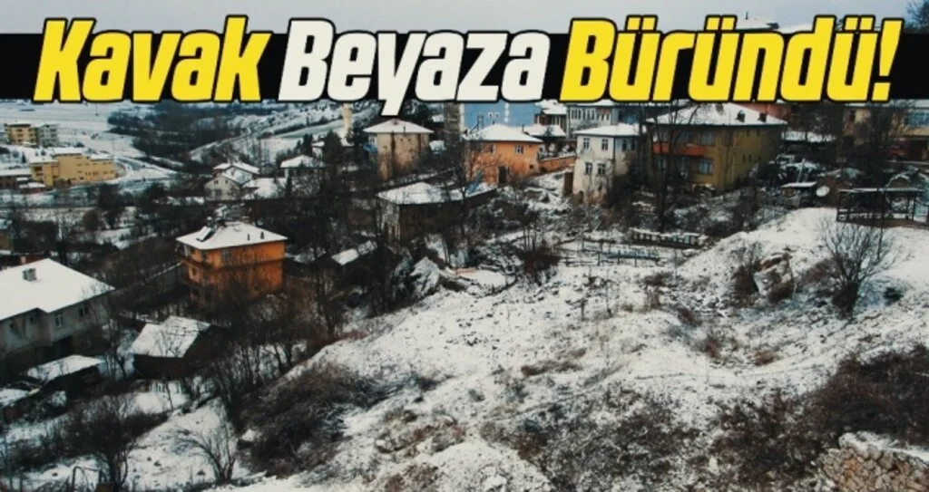Kavak Beyaza Büründü!