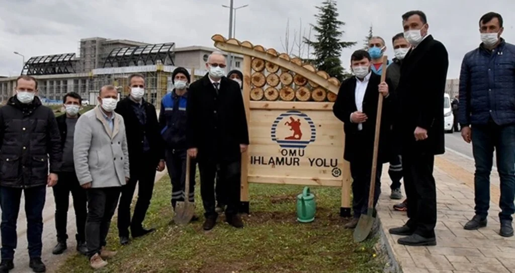 OMÜ ıhlamurlarla daha da yeşillenecek