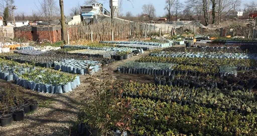 Salıpazarı peyzajını kendi  çiçekleri ile yapıyor 