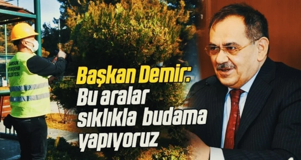 Samsun Büyükşehir Belediye Başkanı Mustafa Demir: Bu aralar sıklıkla  budama yapıyoruz