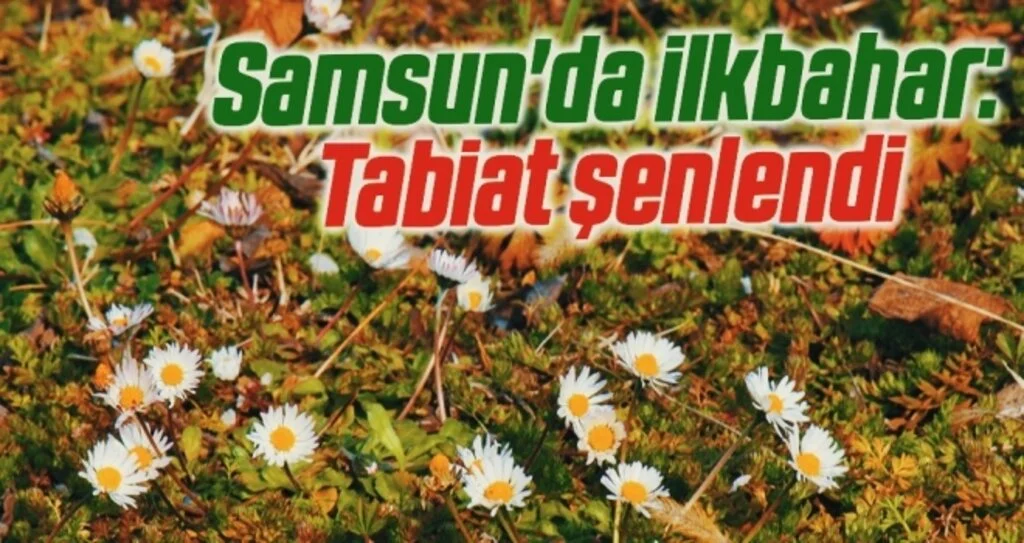 Samsun'da ilkbahar: Tabiat şenlendi
