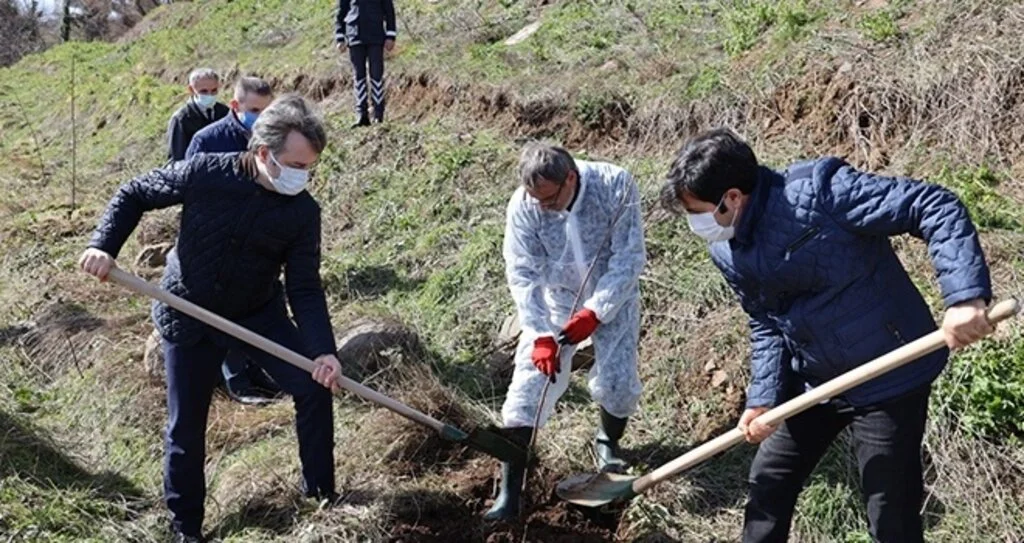 SAMÜ personeli meyve fidanlarını toprakla buluşturdu