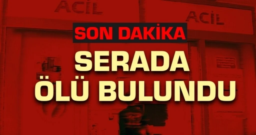 Seraya Gitti, Geri Dönmedi