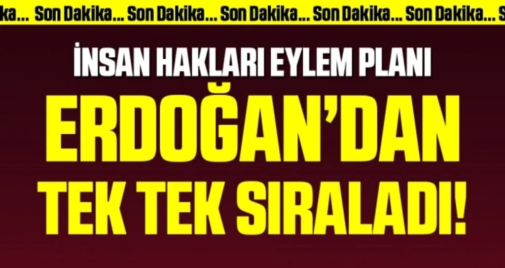 Son Dakika: Cumhurbaşkanı Erdoğan'dan İnsan Hakları Eylem Planı Tanıtım Toplantısı'nda önemli açıklamalar