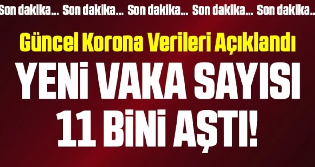 Son dakika… Güncel corona verileri açıklandı! İşte 2 Mart vaka tablosu