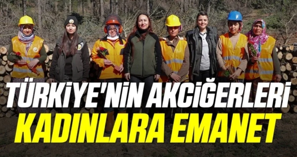 Türkiye'nin akciğerleri kadınlara emanet: Bu ormanda pozitif ayrımcılık var
