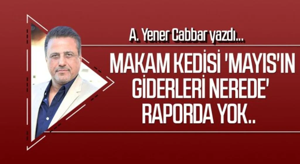 A.YENER CABBAR yazdı: Makam kedisi 'Mayıs'ın giderleri nerede' raporda yok..