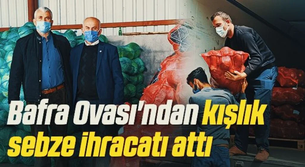 Bafra Ovası'ndan kışlık sebze ihracatı attı
