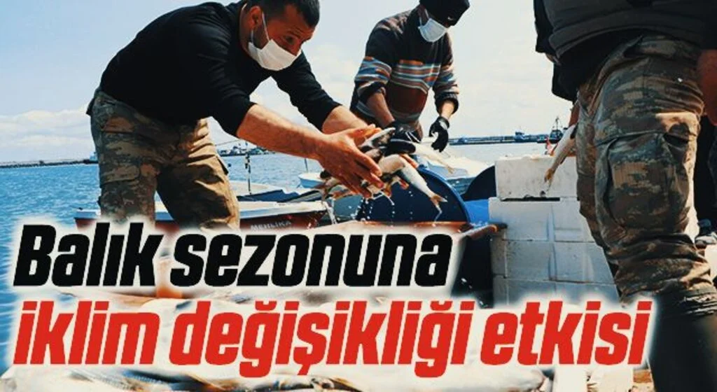 Balık sezonuna iklim değişikliği etkisi