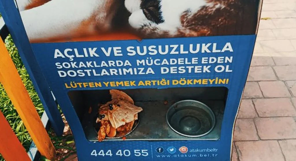 Can dostlar yemiyor