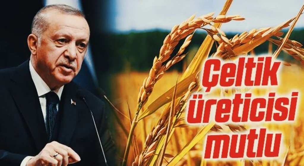 Çeltik üreticisi mutlu