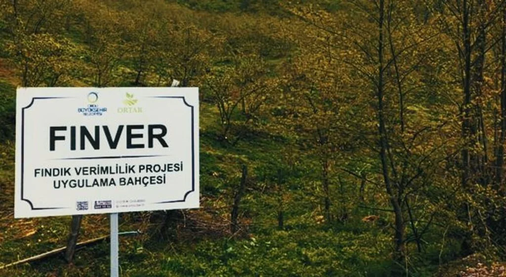 FINVER tam gaz devam ediyor