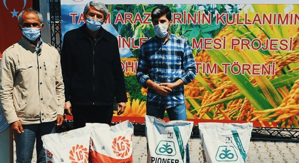 Havzalı çiftçilere ayçiçeği tohumu
