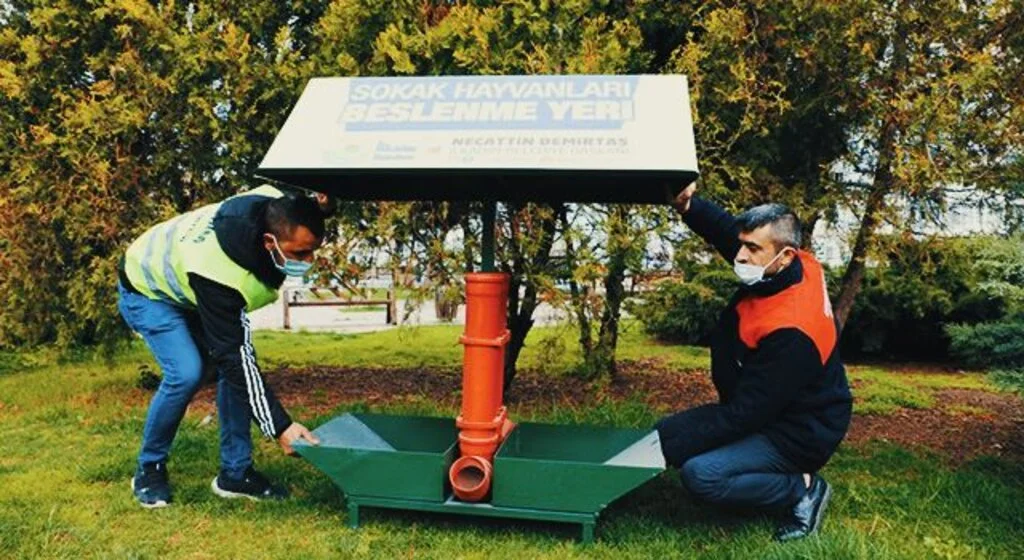 İlkadım'da sokak hayvanları unutulmadı