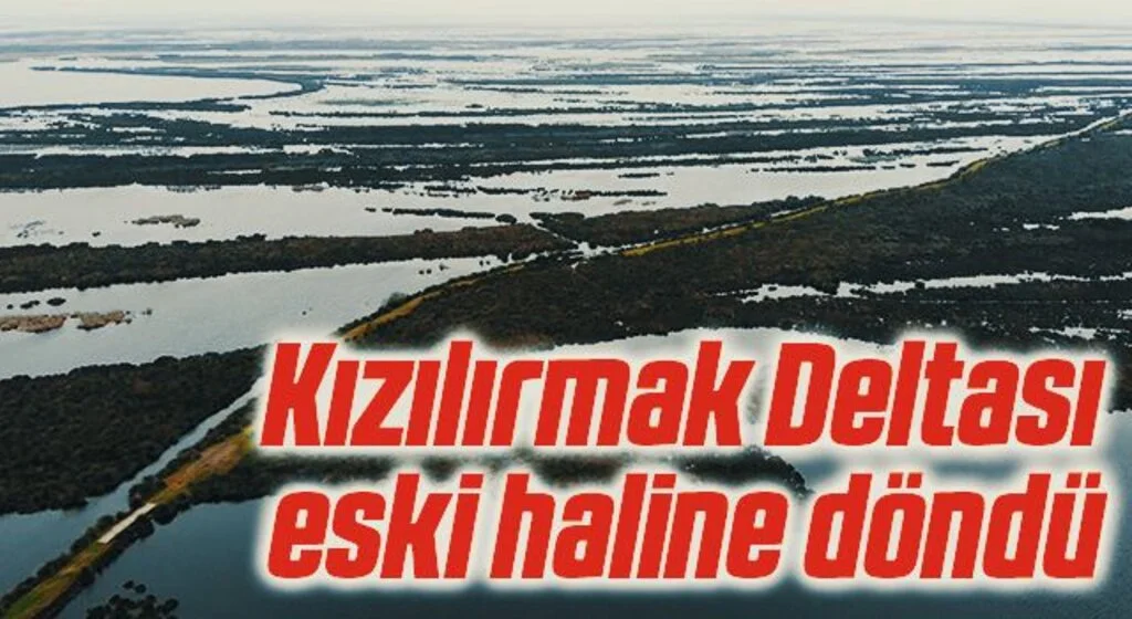 Kızılırmak Deltası eski haline döndü