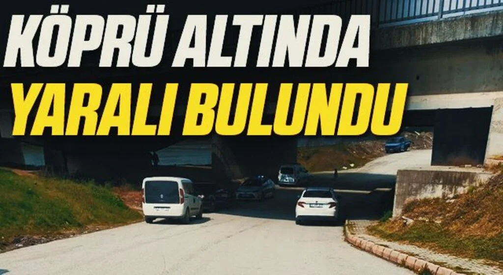 Köprü altında yaralı bulundu