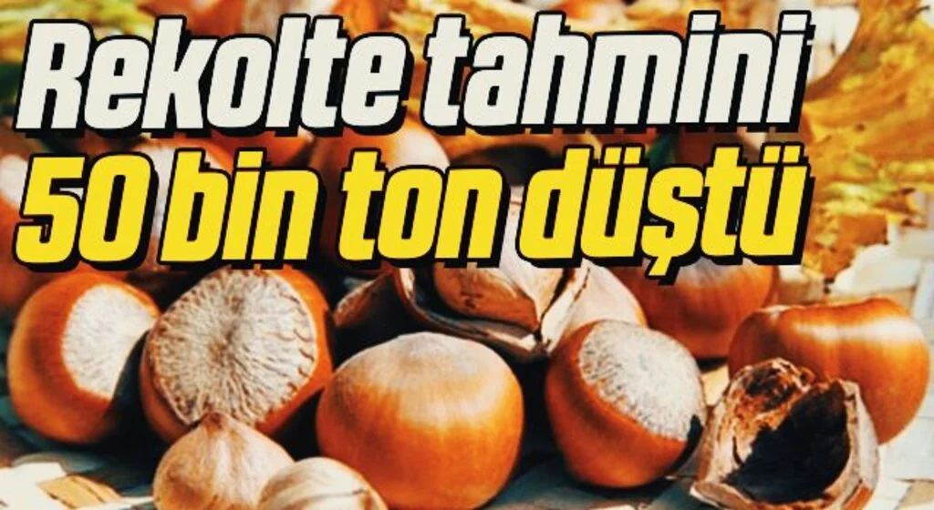 Rekolte tahmini 50 bin ton düştü