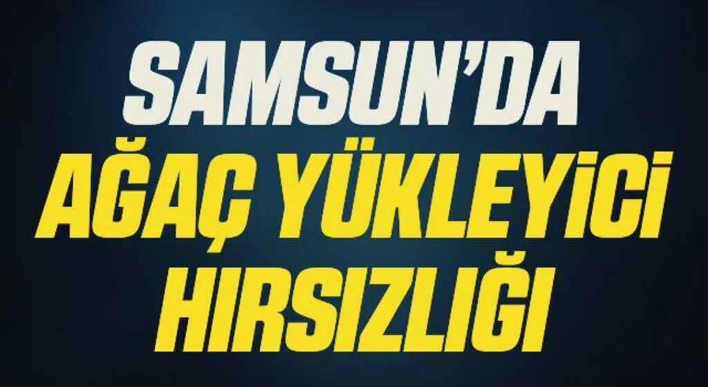 Samsun'da Ağaç yükleyici hırsızlığı iddiasına 4 gözaltı