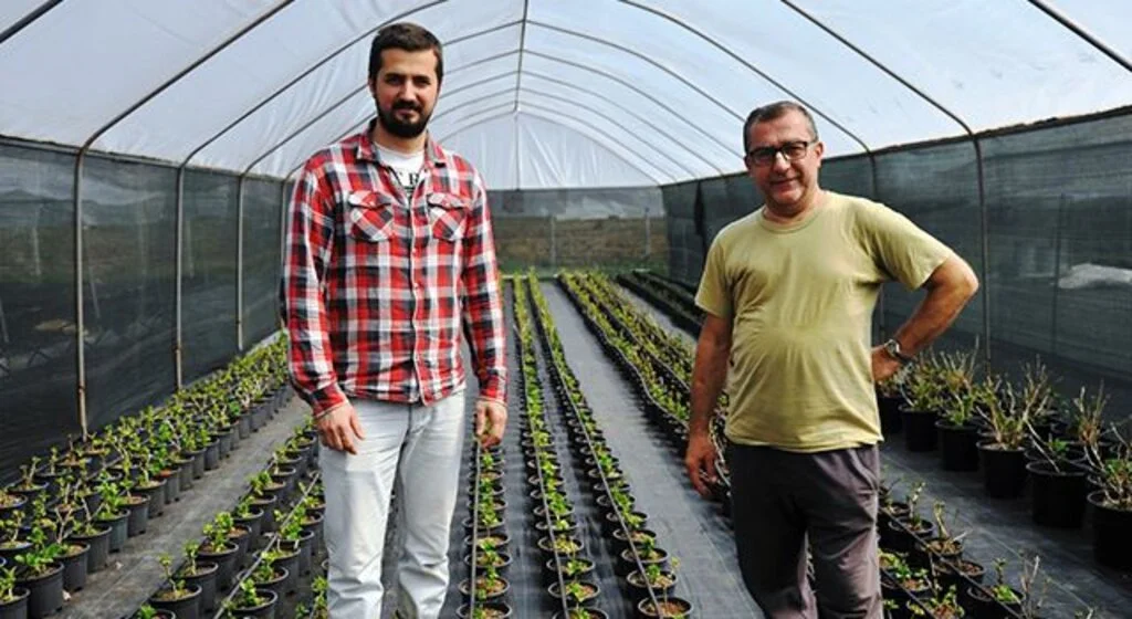Samsun’da kesme çiçekçilik yaygınlaşıyor