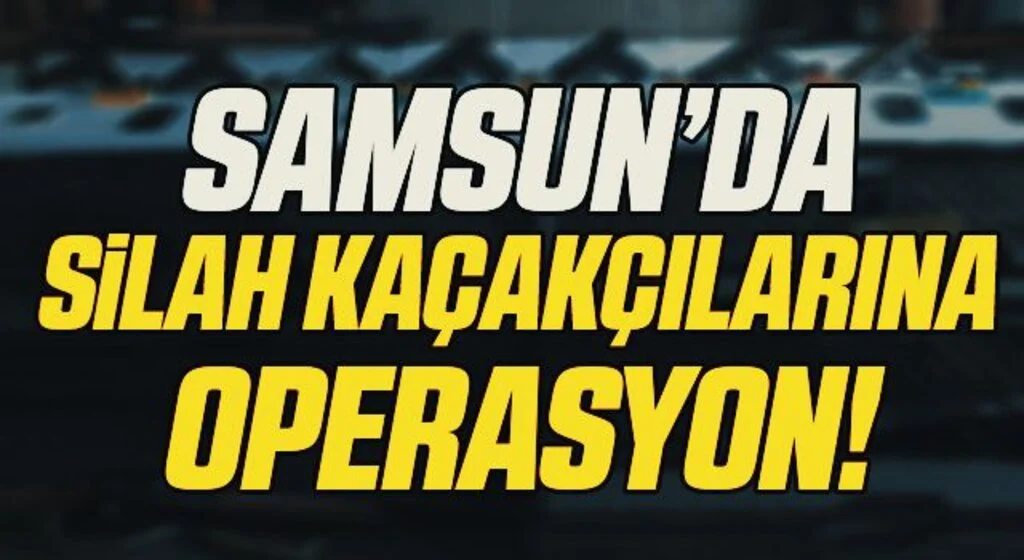 Samsun'da silah kaçakçılığı operasyonunda bir zanlı yakalandı