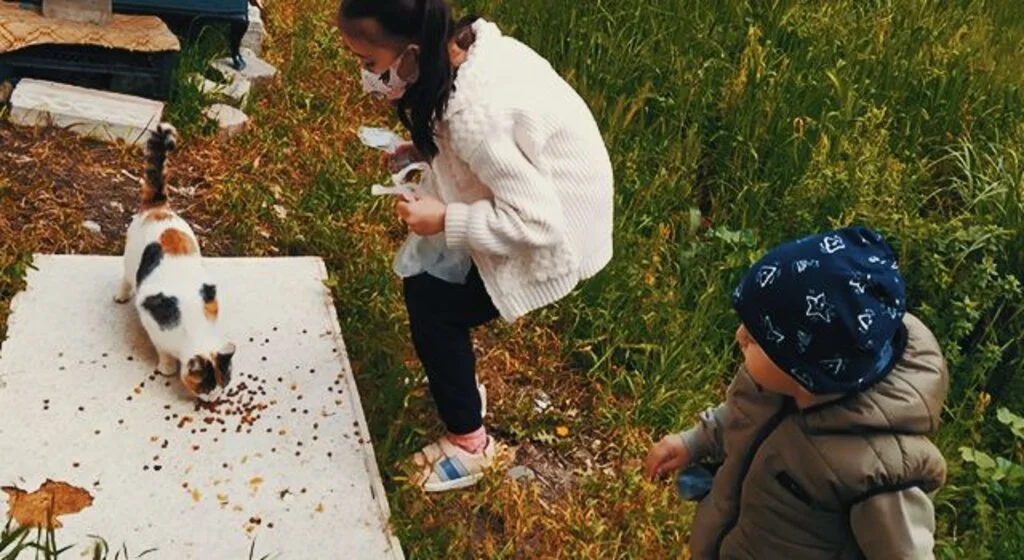 “Sokaktaki Kedileri Sevgiyle Besler Misin Projesi” ilgi gördü