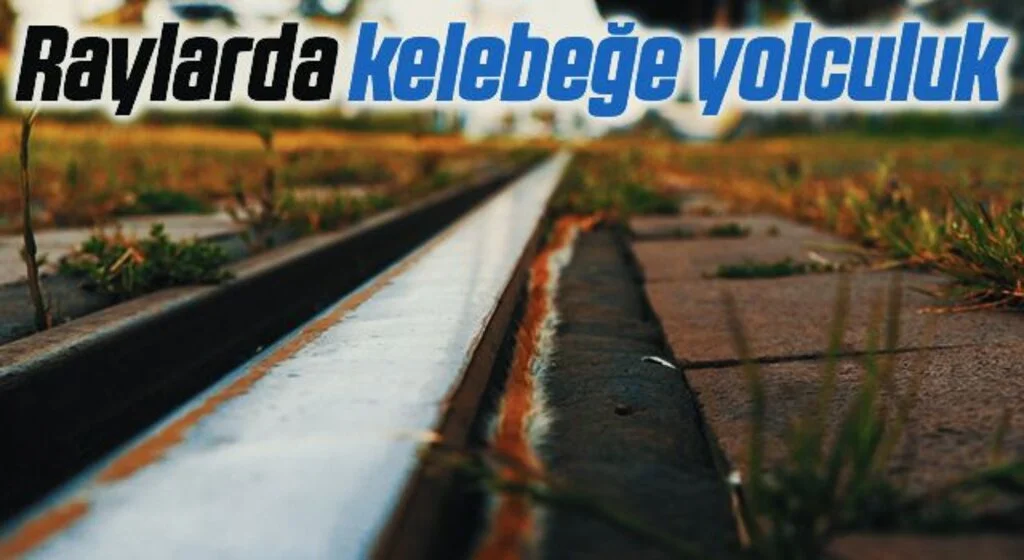 Tırtılların kelebeğe dönüşme yolculuğu raylardan geçiyor