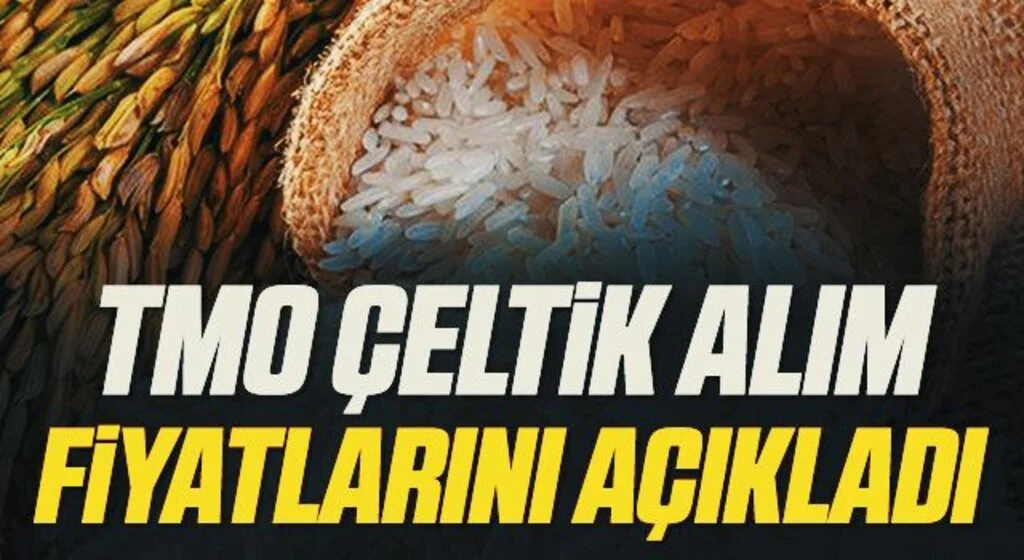 TMO Çeltik Alım Fiyatlarını Açıkladı