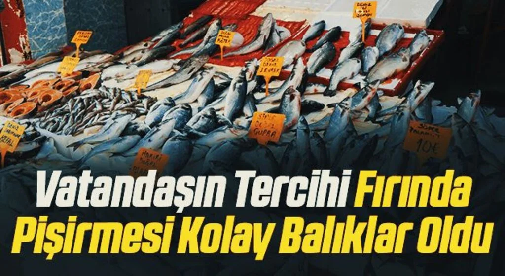 Vatandaşların tercihi alabalık, levrek ve çipura