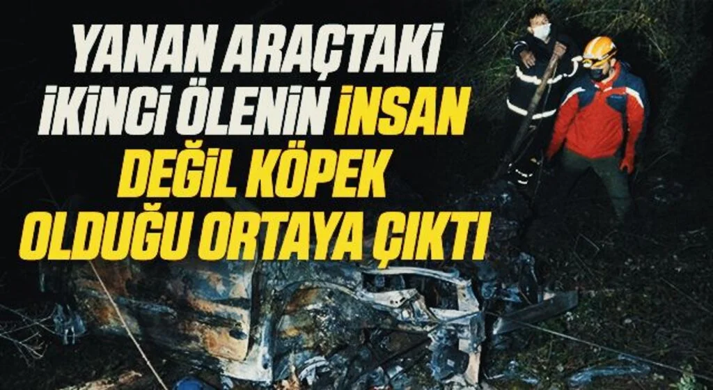 Yanan araçtaki ikinci ölenin insan değil köpek olduğu ortaya çıktı