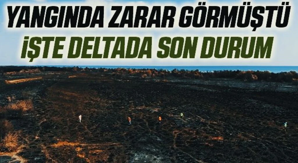 Yangında Zarar Görmüştü! İşte Deltada Son Durum