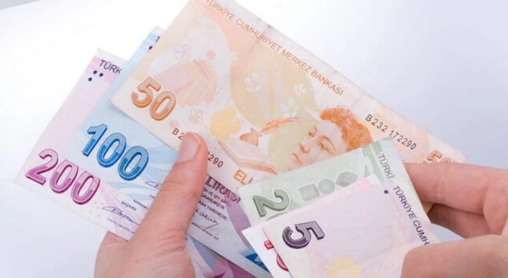 1000 TL pandemi ödemesi (sosyal yardım) sorgulama ve başvuru ekranı: E-Devlet T.C kimlik no ile sonuç sorgulama ve ön başvuru detayları