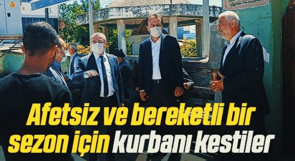 Afetsiz ve bereketli bir sezon için kurbanı kestiler