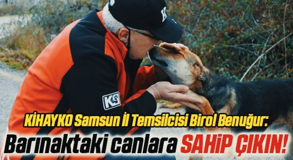 Barınaktaki canlara SAHİP ÇIKIN!