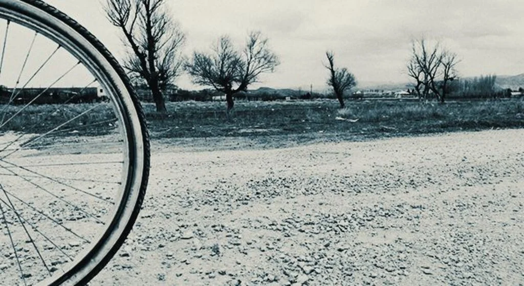 Çevreye duyarlı fotoğraf yarışmasının sonuçları belli oldu