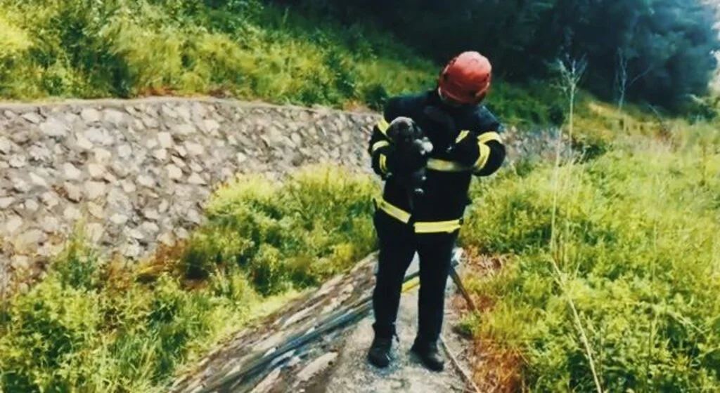 Dereye düşen yavru köpek kurtarıldı