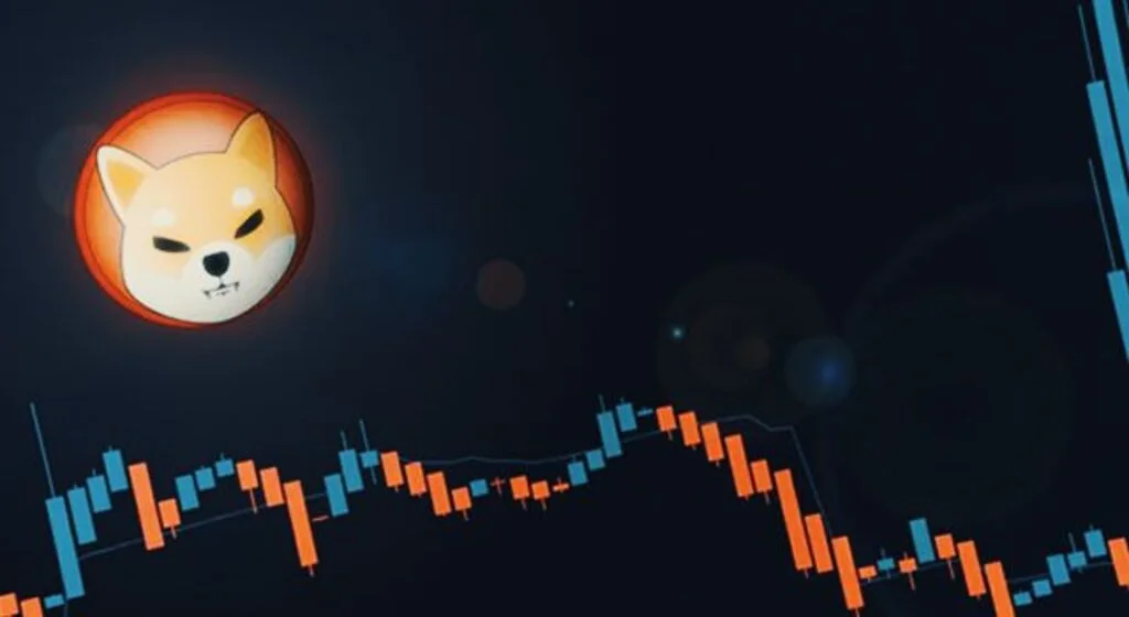 'Dogecoin'in katili' Shiba Coin'e büyük rağbet