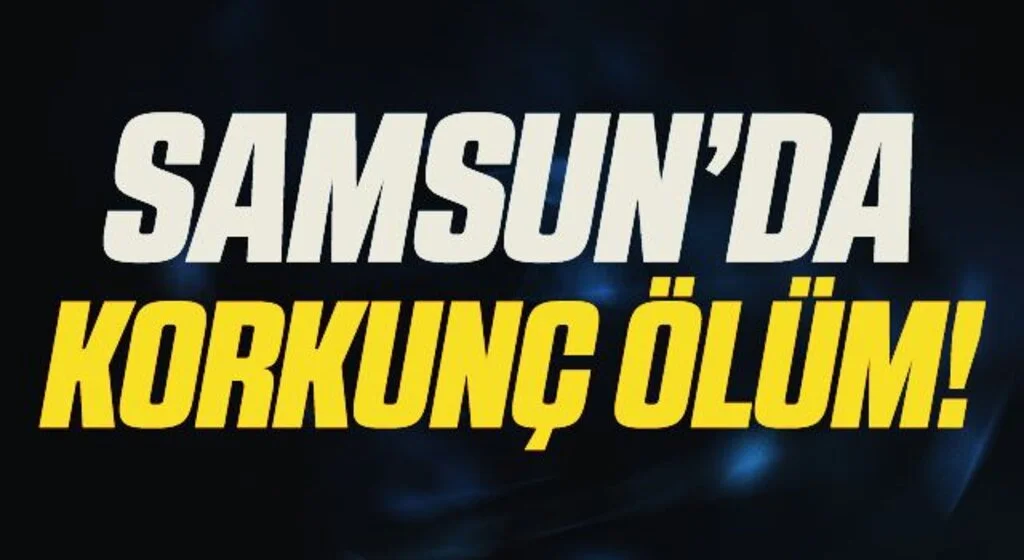 Elektrik direğindeki lambayı tamir ederken akıma kapılıp düşerek hayatını kaybetti