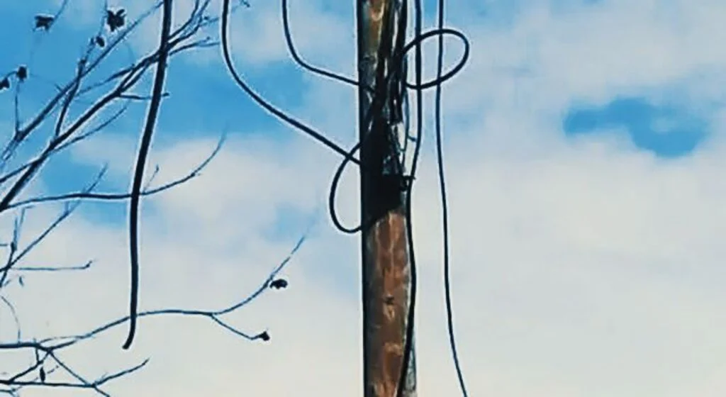 Hırsızlar 10 direk arasında telefon kablosunu çaldı
