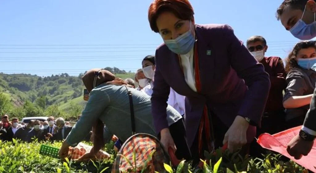 İYİ Parti Genel Başkanı Meral Akşener’den Erdoğan’a: Onun için çay topluyorum