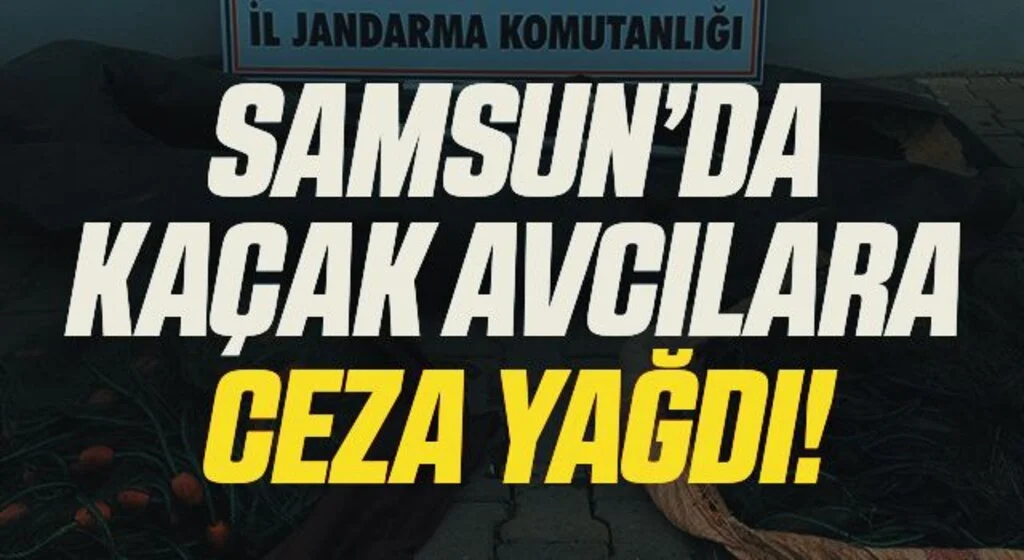 Jandarmadan kaçak avcılara 10 bin 538 lira ceza