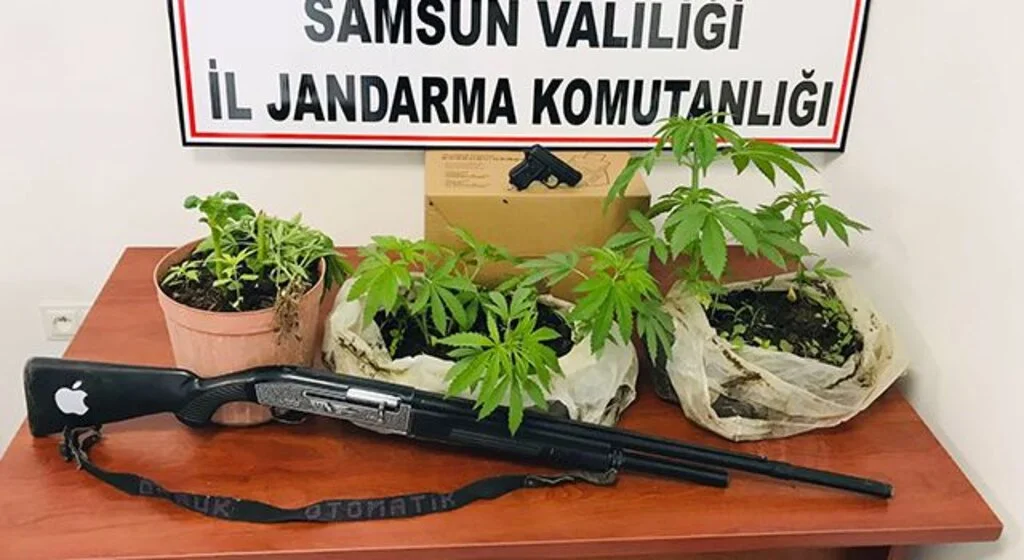 Jandarmadan ‘kenevir’ baskını