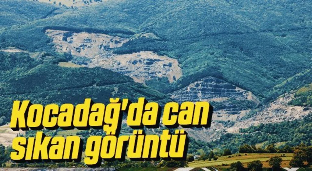 Kocadağ'da can sıkan görüntü