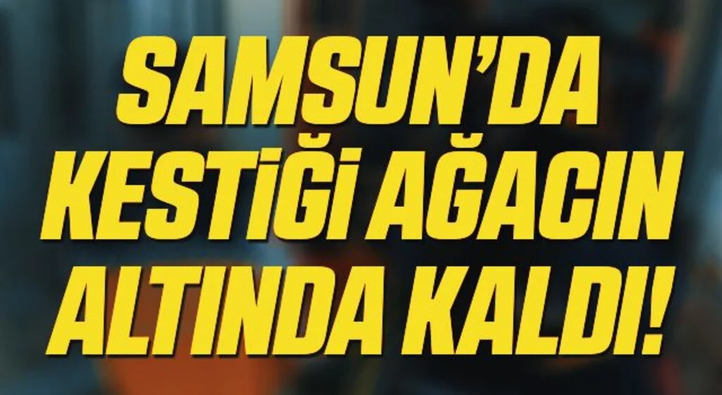 Ormanda kestiği ağaç üzerine düşen şahıs ambulans helikopterle hastaneye yetiştirildi