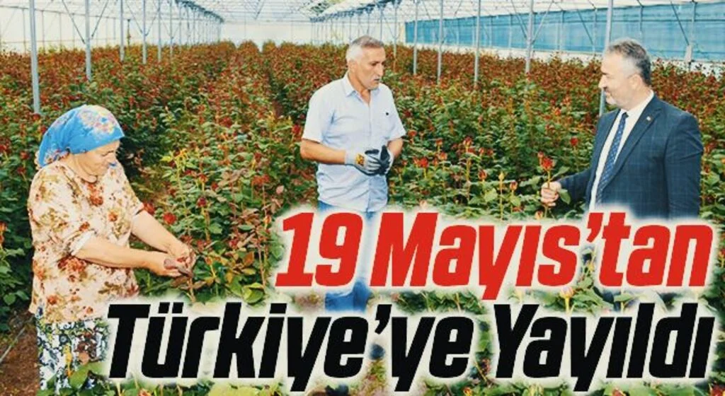 Rodos gülünü Türkiye'ye yaydı, ithalatı önledi