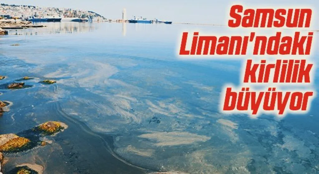 Samsun Limanı'ndaki kirlilik büyüyor