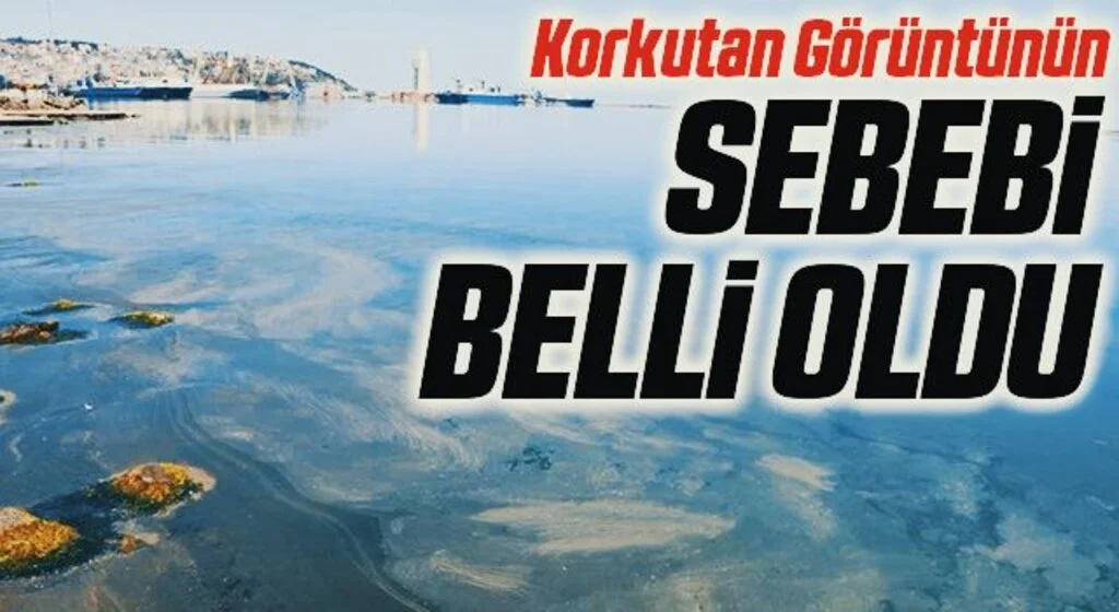 Samsun Limanındaki Korkutan Görüntünün Sebebi Belli Oldu